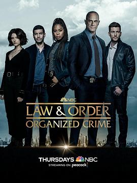 法律与秩序·组织犯罪第三季 第3集